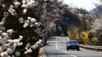 Una strada in Cina (LaPresse)