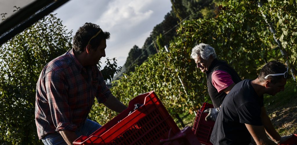agricoltori italiani