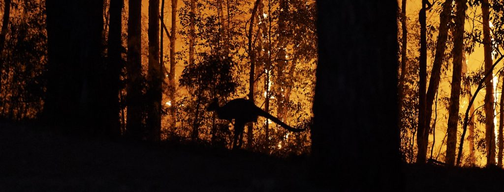 Incendi Australia