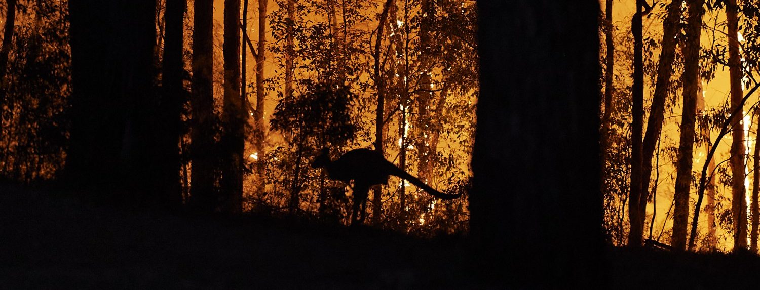 Incendi Australia