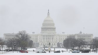 Casa Bianca (LaPresse)