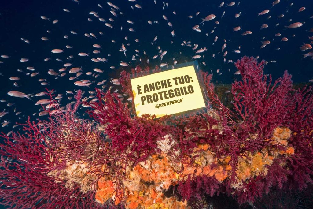 Protesta ambientalista (LaPresse)