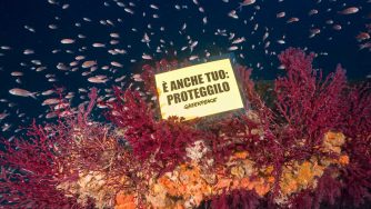 Protesta ambientalista (LaPresse)