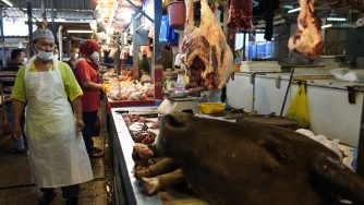 Secondo diversi esperti, i mattatoi rappresenterebbero il luogo ideale dove il coronavirus si può diffondere (Foto LaPresse)