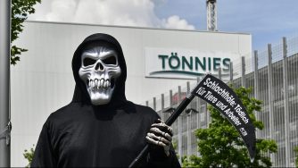 Mattatoi in Germania (La Presse)