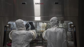 Coronavirus, laboratorio vaccini (La Presse)