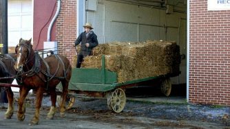 Amish in America (La Presse)