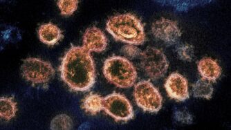 Variante inglese coronavirus (La Presse)