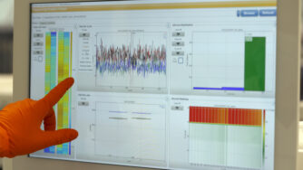influenza stagionale