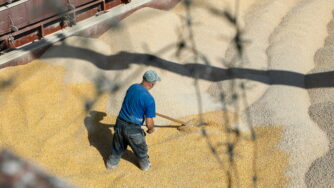 Russia: Deposito di grano Volgograd Elevatore in Russia