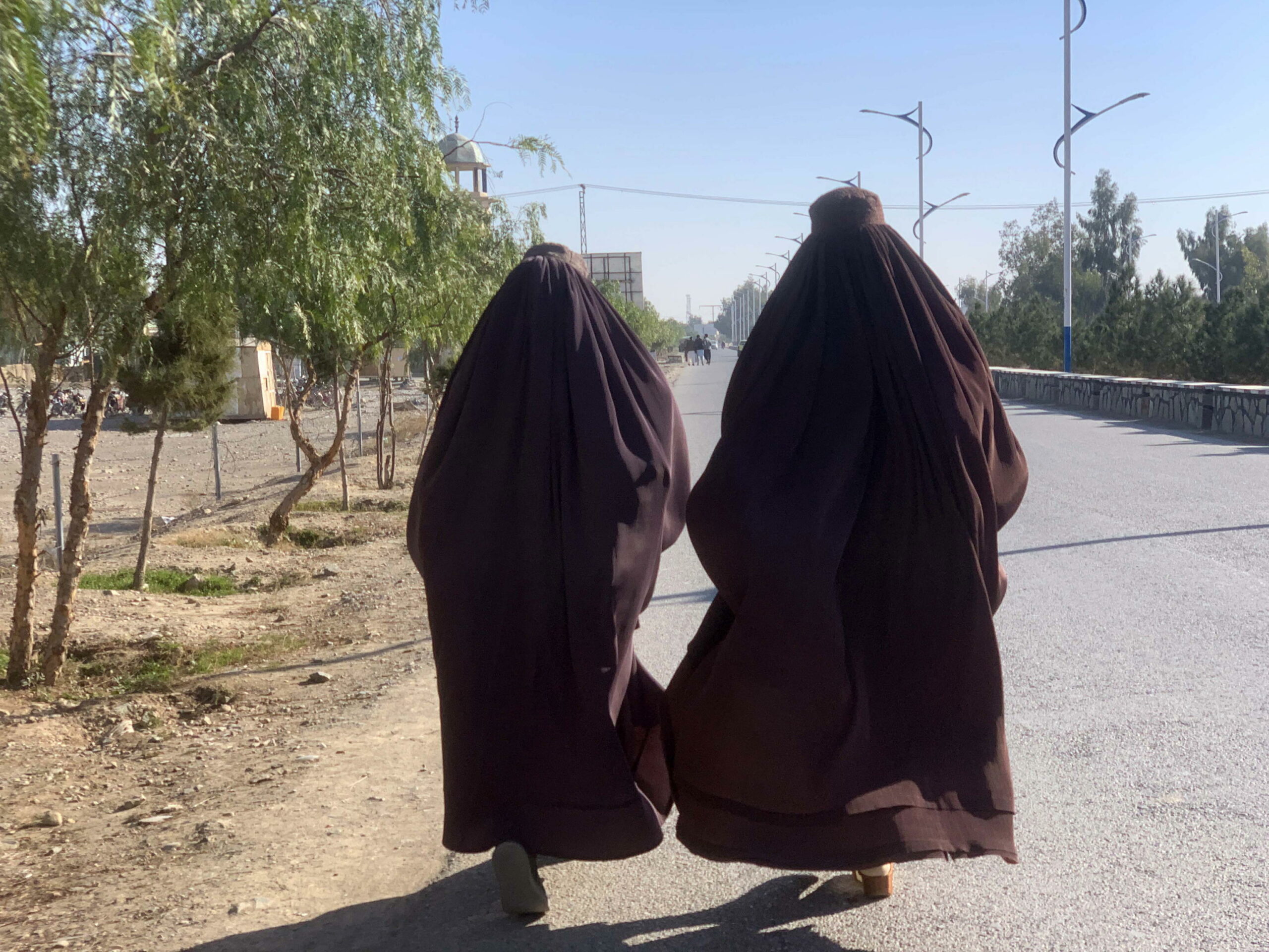 Perché I Talebani Negano Alle Donne La Possibilità Di Studiare No alle donne nelle Ong: ennesima stretta dei talebani in Afghanistan