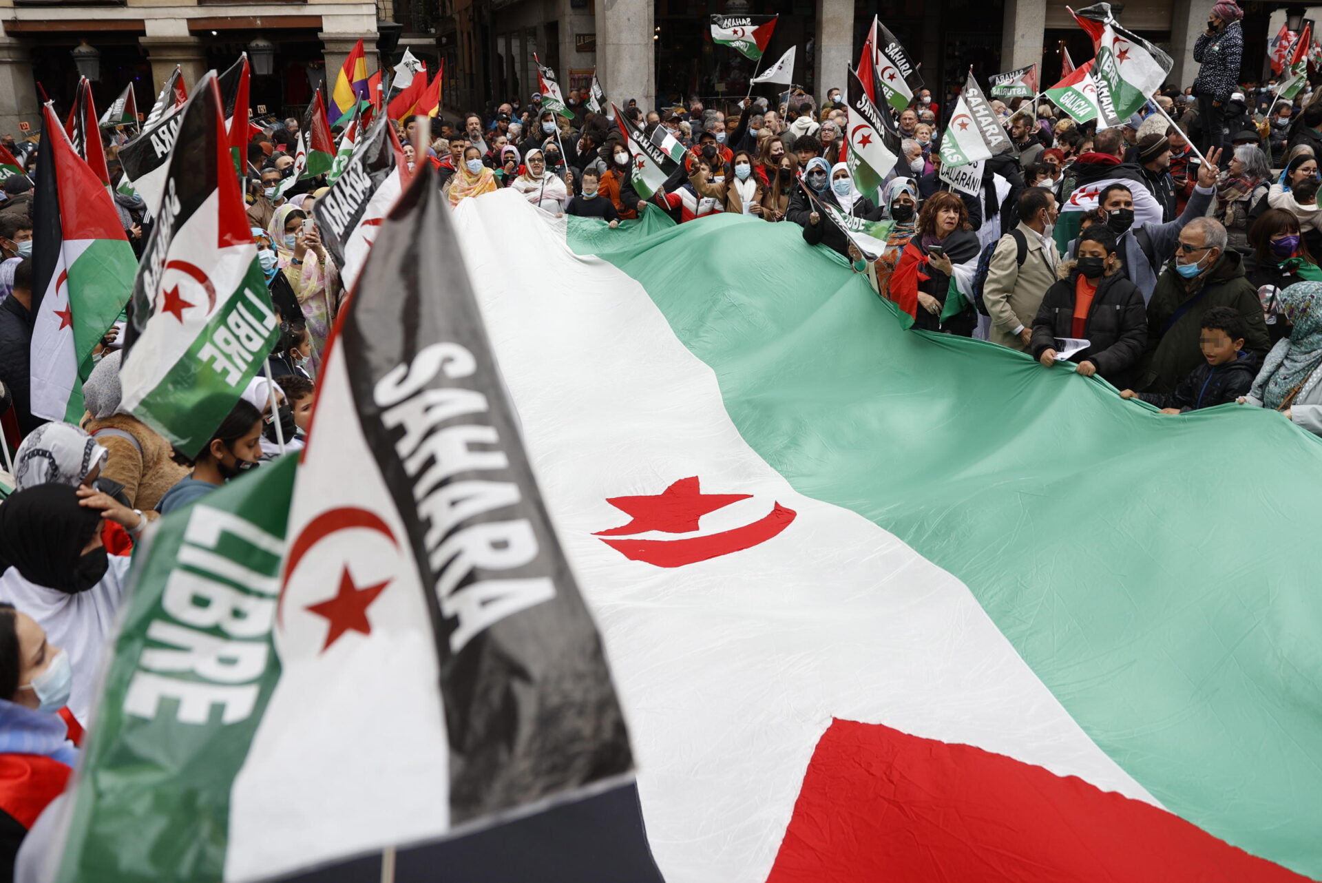 Sahara Occidentale, la stretta di Washington e il muro d’Algeri: che cosa c’è davvero in gioco Sahara Occidentale, la stretta di Washington e il muro d’Algeri: che cosa c’è davvero in gioco