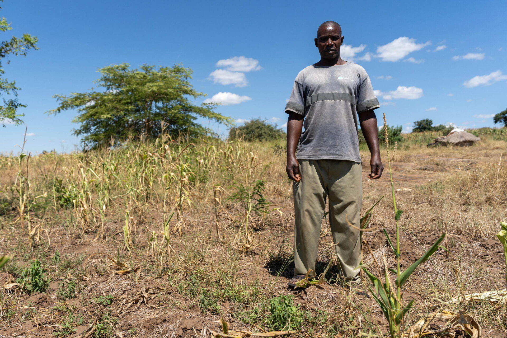 Tra siccità e alluvioni, l’Africa in emergenza rischia il disastro