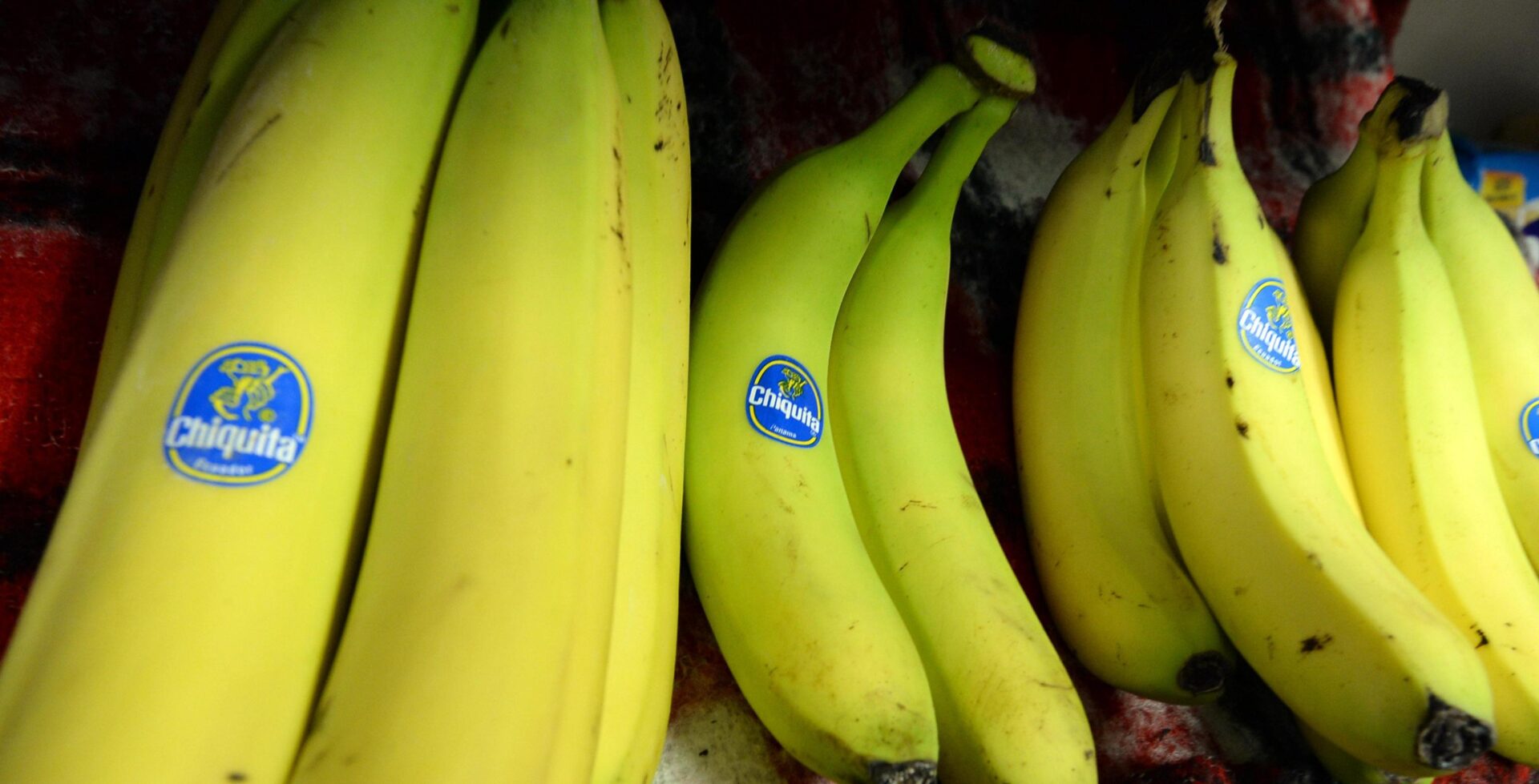 Chiquita condannata per aver finanziato i paramilitari in Colombia: la lezione sulla globalizzazione selvaggia