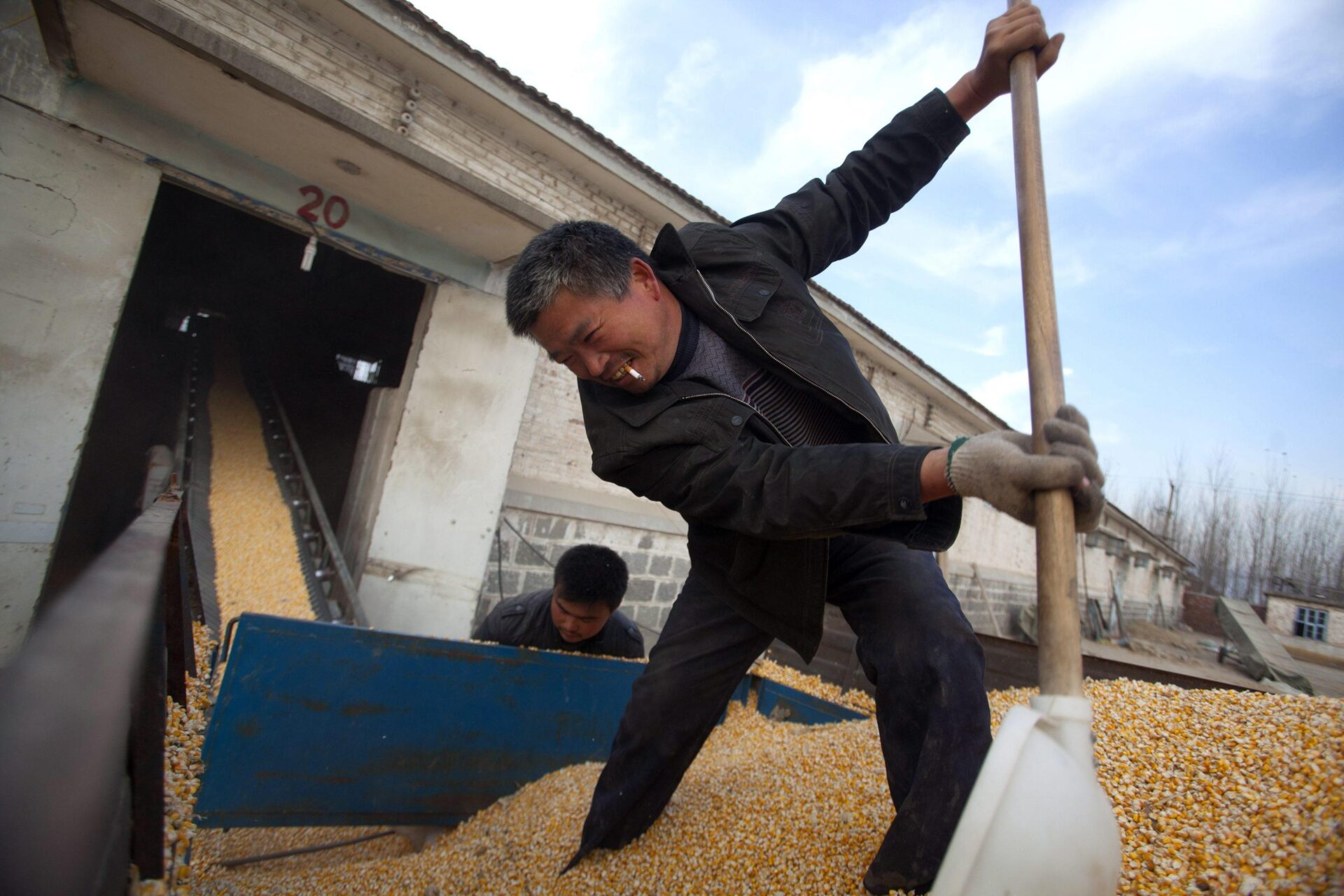 Il grande gioco del cibo: perché la Cina vuole blindare la sua sicurezza alimentare