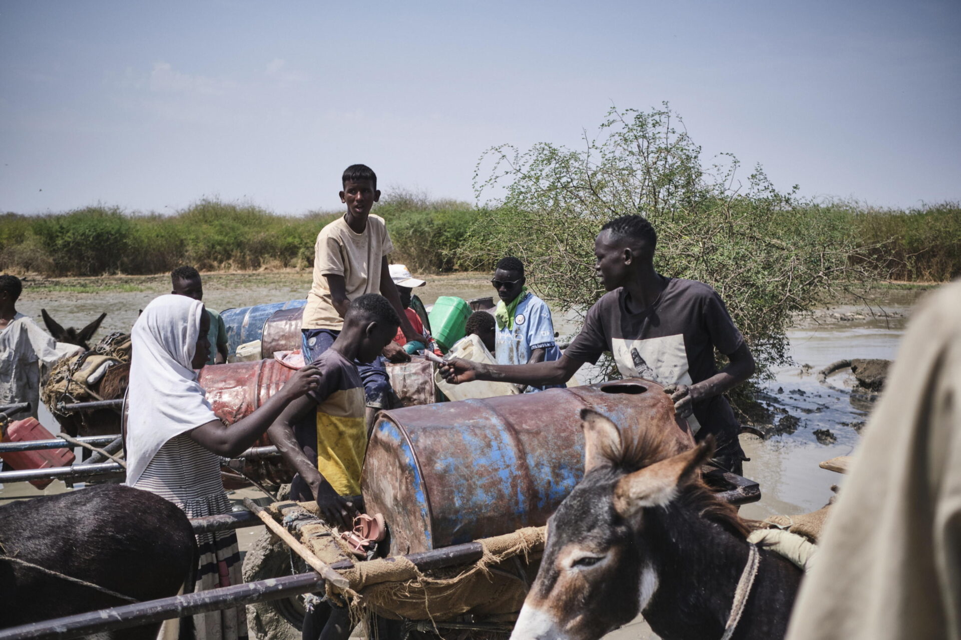 Sudan, così la gomma arabica delle caramelle diventa un’arma di guerra