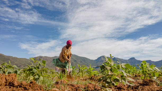 Africa, il continente giovane che cresce troppo in fretta per il suo futuro