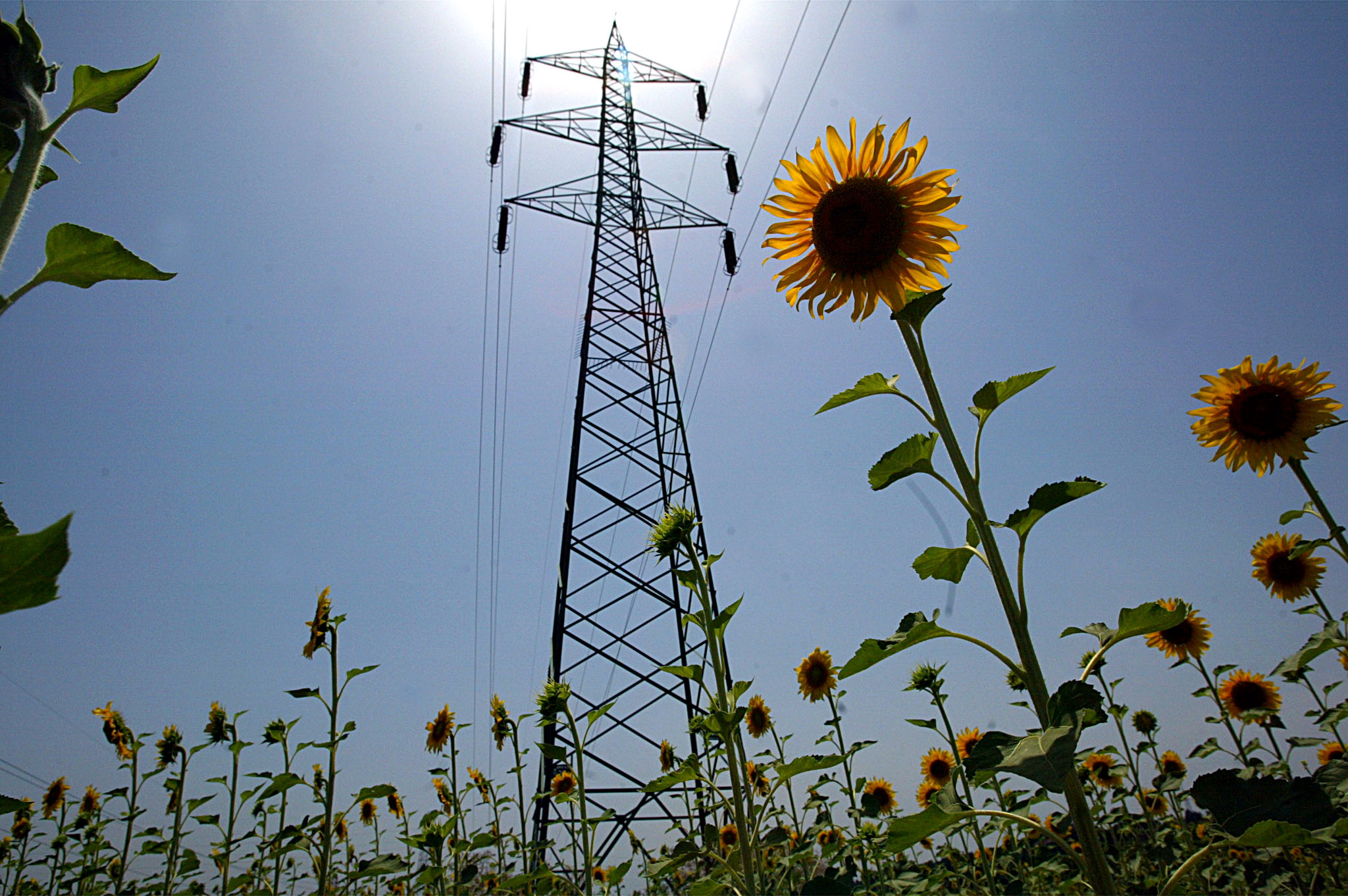 La minaccia strategica dei blackout in un mondo che va ad elettricità La minaccia strategica dei blackout in un mondo che va ad elettricità