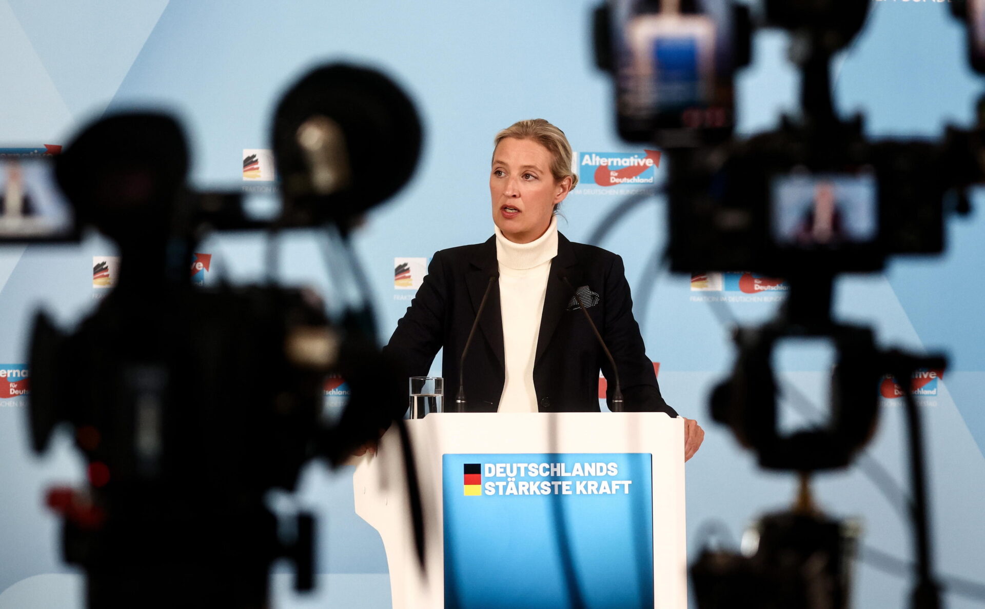 Afd estremista da It.insideover.com afd estremista viola la dignità umana lo schiaffo dell intelligence tedesca all ultradestra