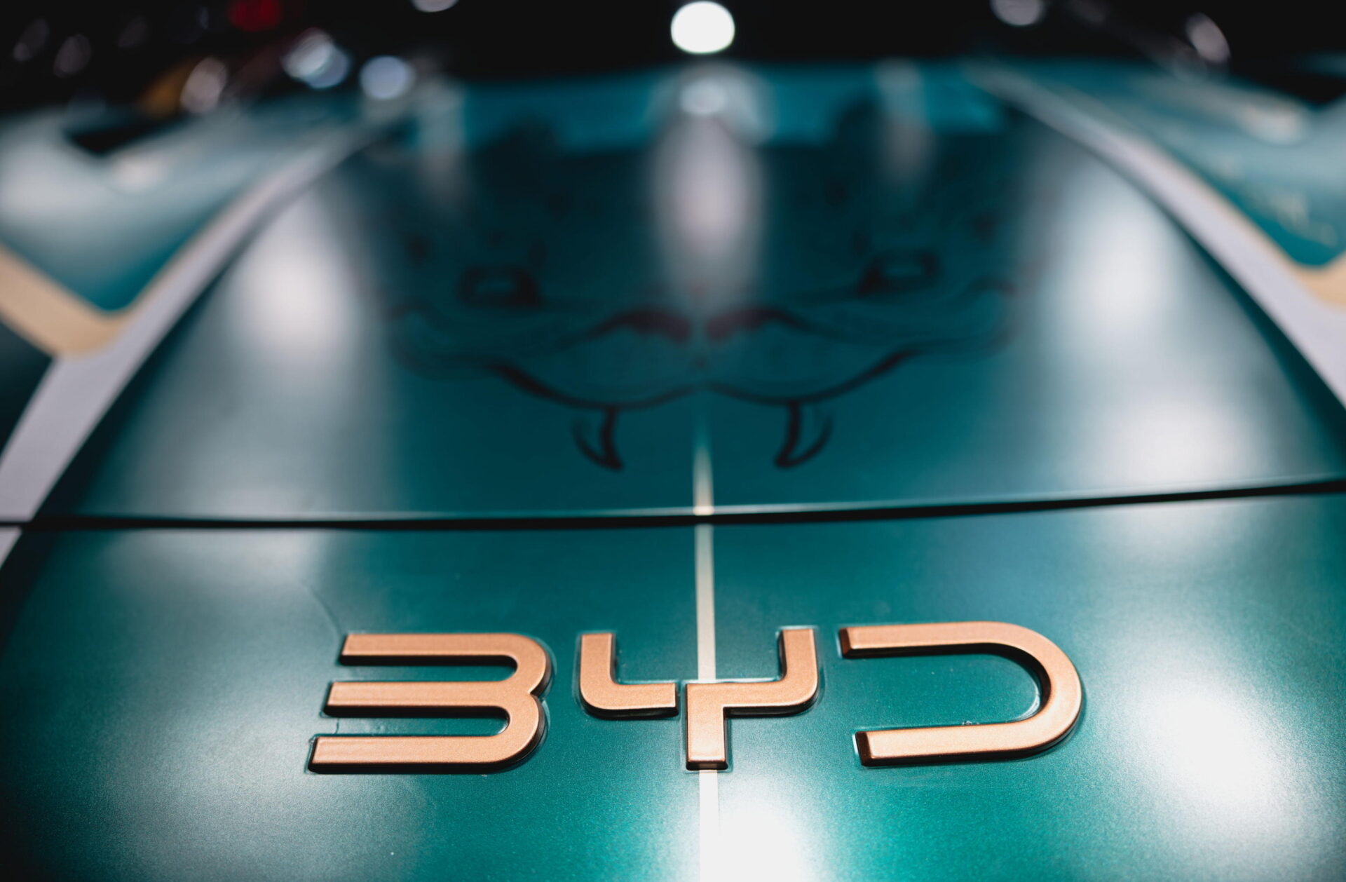 Byd alla conquista dell’Europa con Dolphin Surf, la nuova auto elettrica low cost