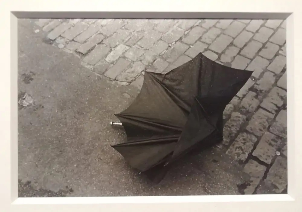 Alla Reggia di Monza la prima grande mostra italiana dedicata a Saul Leiter