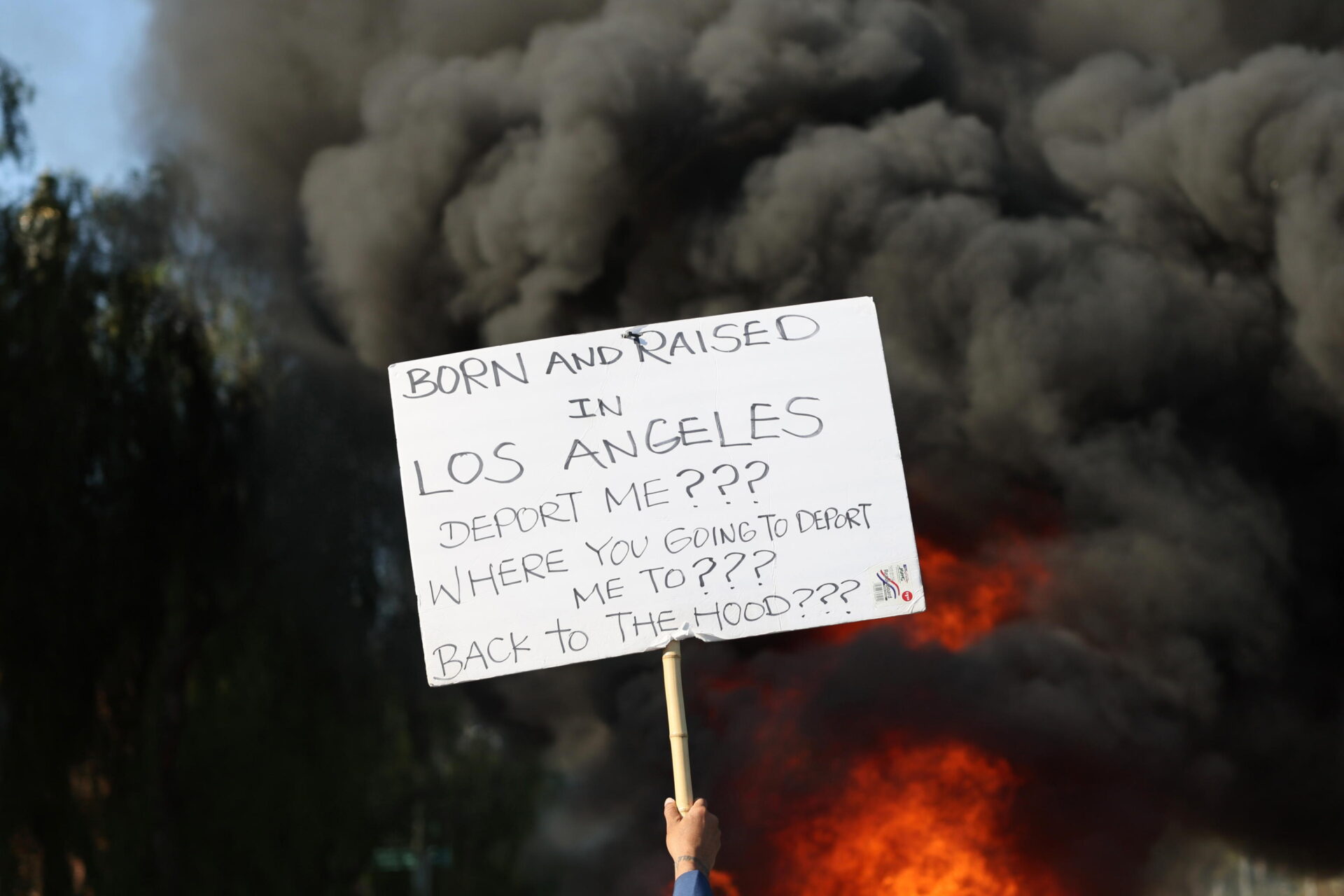 Los Angeles in fiamme: cosa ha scatenato le proteste e la reazione di Trump Los Angeles in fiamme: cosa ha scatenato le proteste e la reazione di Trump