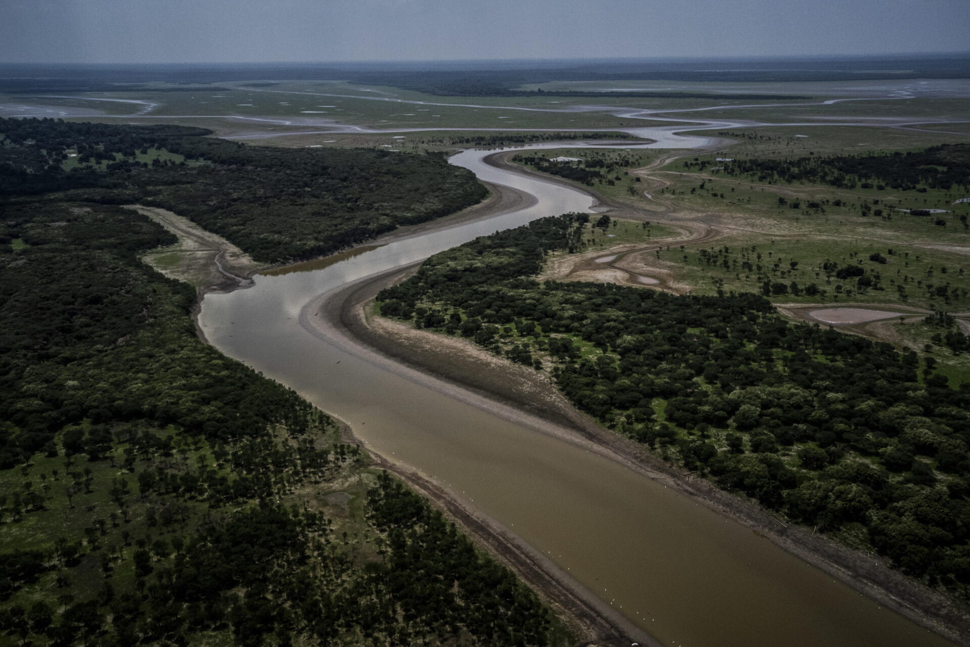 Biopirateria: la corsa globale alle piante medicinali in Africa e Amazzonia Biopirateria: la corsa globale alle piante medicinali in Africa e Amazzonia