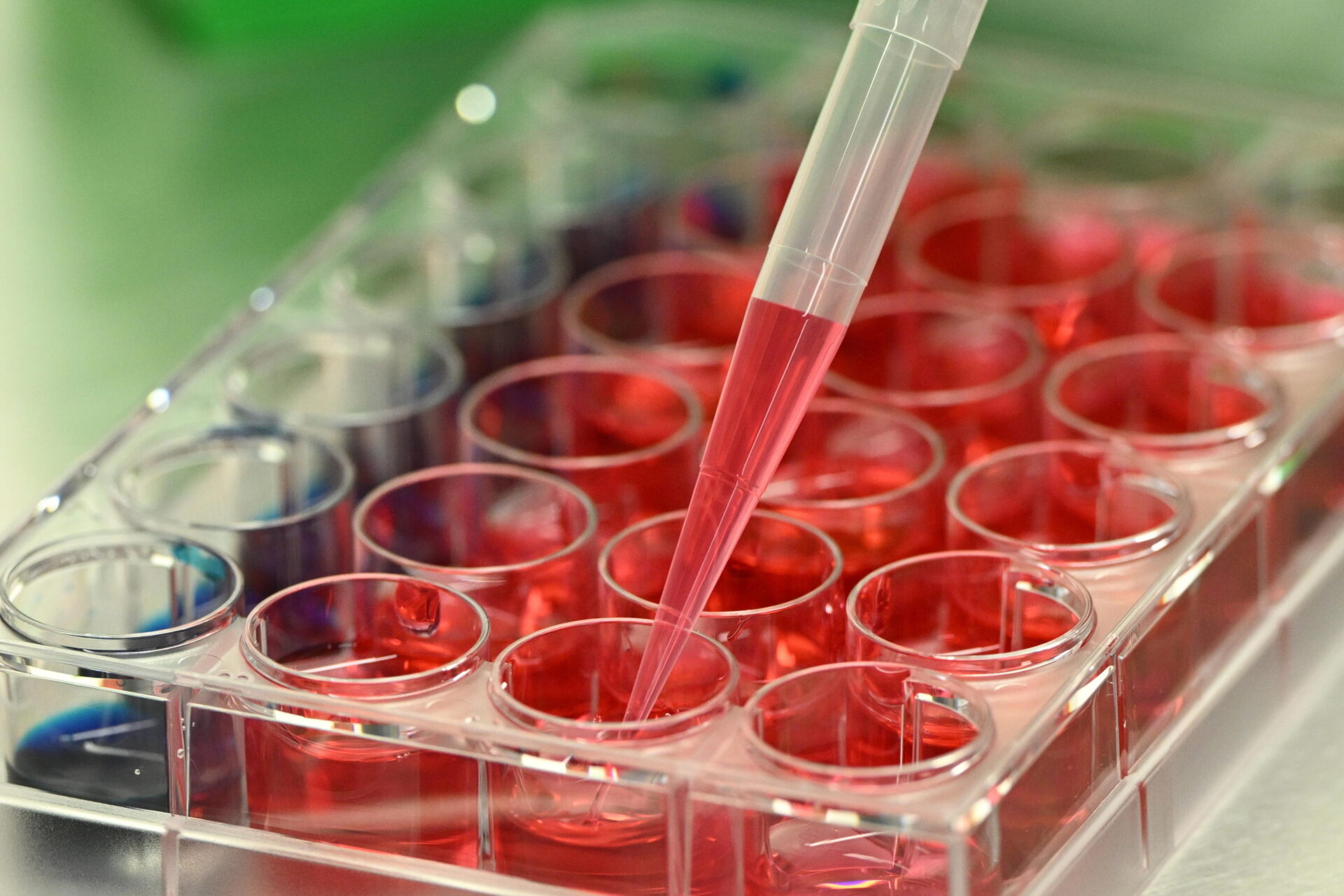 Dentro la medicina rigenerativa: Tokyo punta sulle cellule staminali per allungare la vita Dentro la medicina rigenerativa: Tokyo punta sulle cellule staminali per allungare la vita