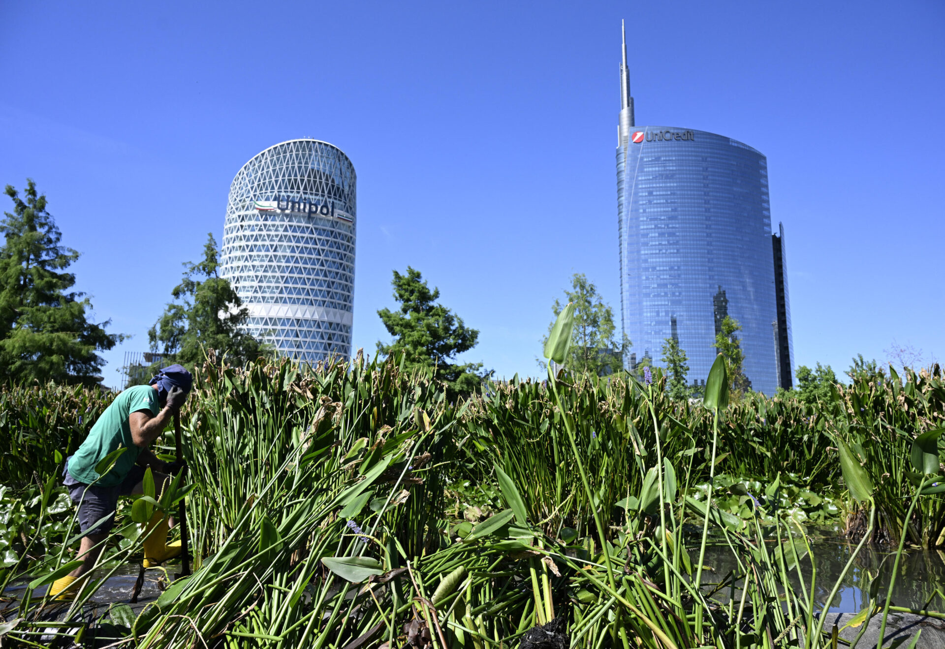 Sicurezza economica e sicurezza nazionale: che cosa insegna il caso Unicredit Bpm Sicurezza economica e sicurezza nazionale: che cosa insegna il caso Unicredit Bpm