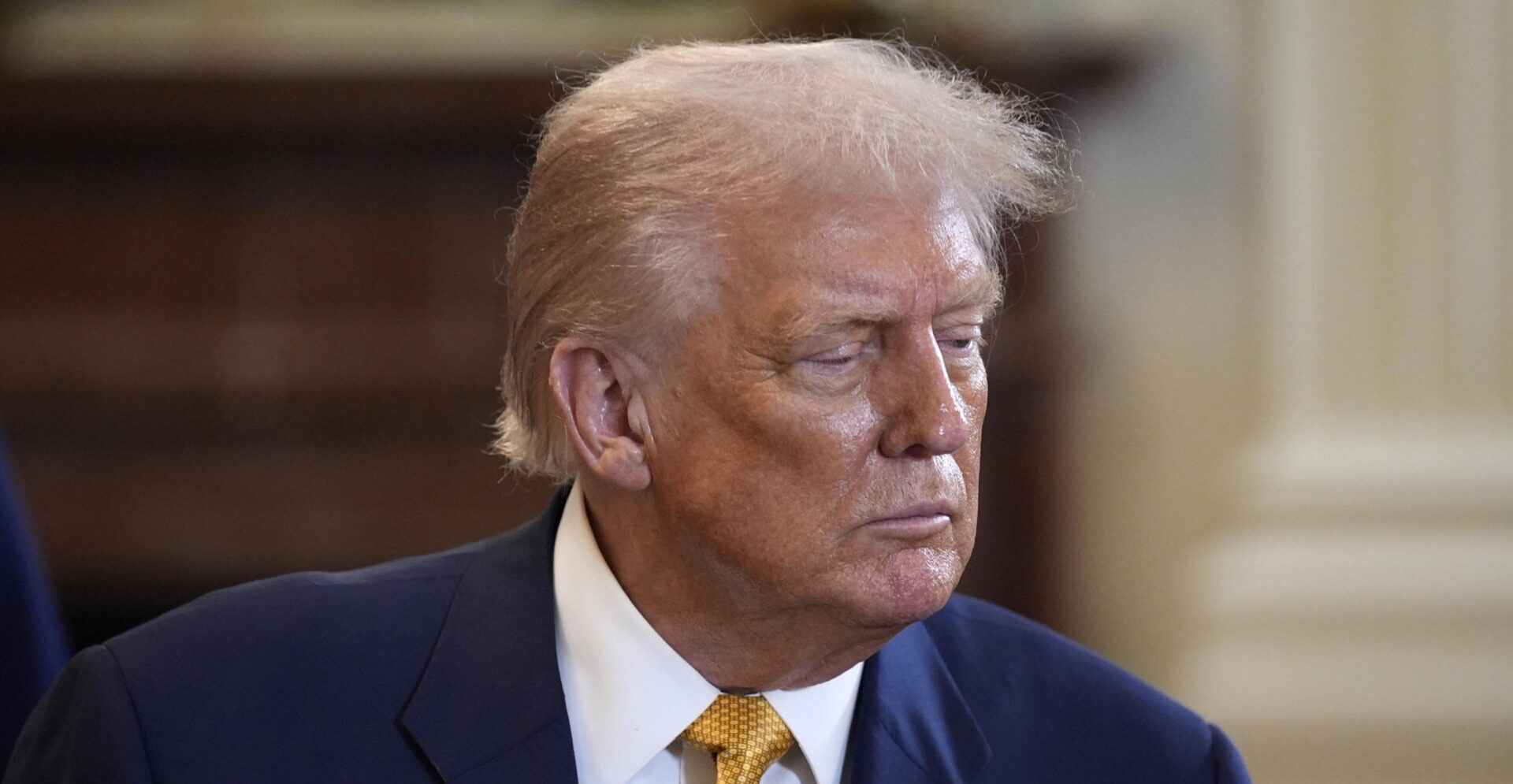 trump negli epstein files che cosa nasconde la casa bianca e che cosa non dicono i democratici