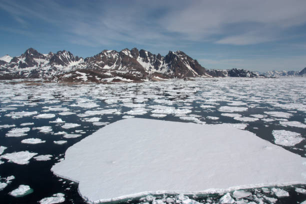 Patogeni dal permafrost: il fronte invisibile dell’Artico Patogeni dal permafrost: il fronte invisibile dell’Artico