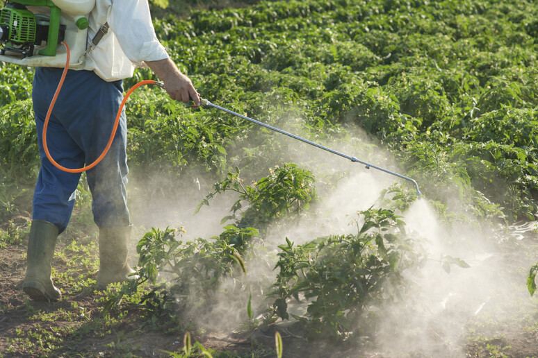 La lunga corsa del sistema agricolo europeo per superare la dipendenza dai pesticidi La lunga corsa del sistema agricolo europeo per superare la dipendenza dai pesticidi
