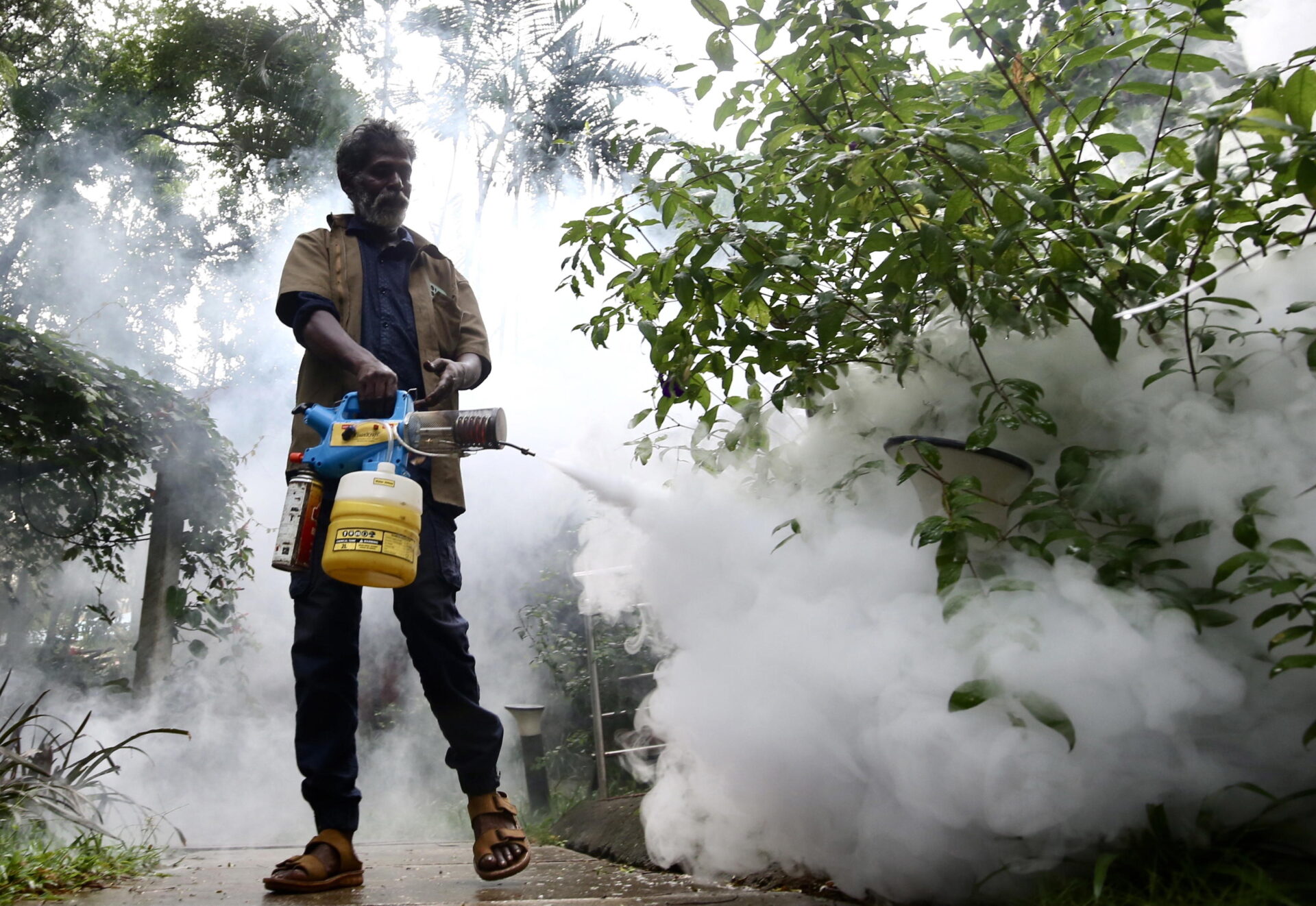 virus e tensioni globali il cambiamento climatico e i suoi fronti concreti ed emotivi