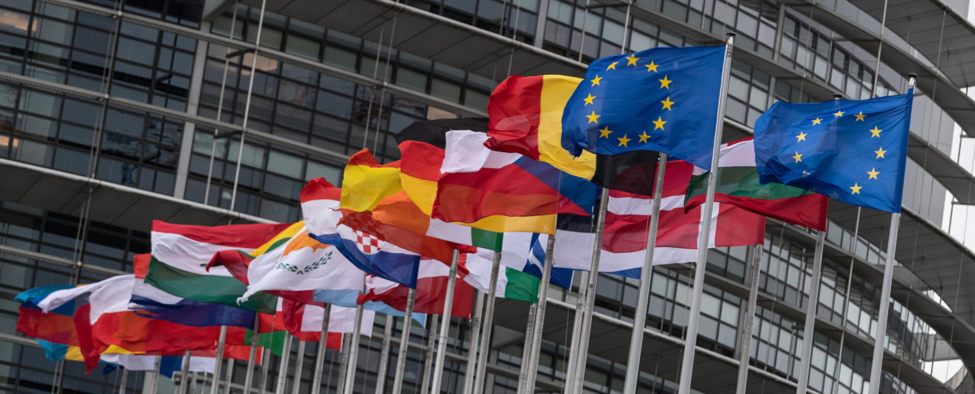 (Dis)unione europea: cosa rivela la gestione delle crisi sanitarie in Europa