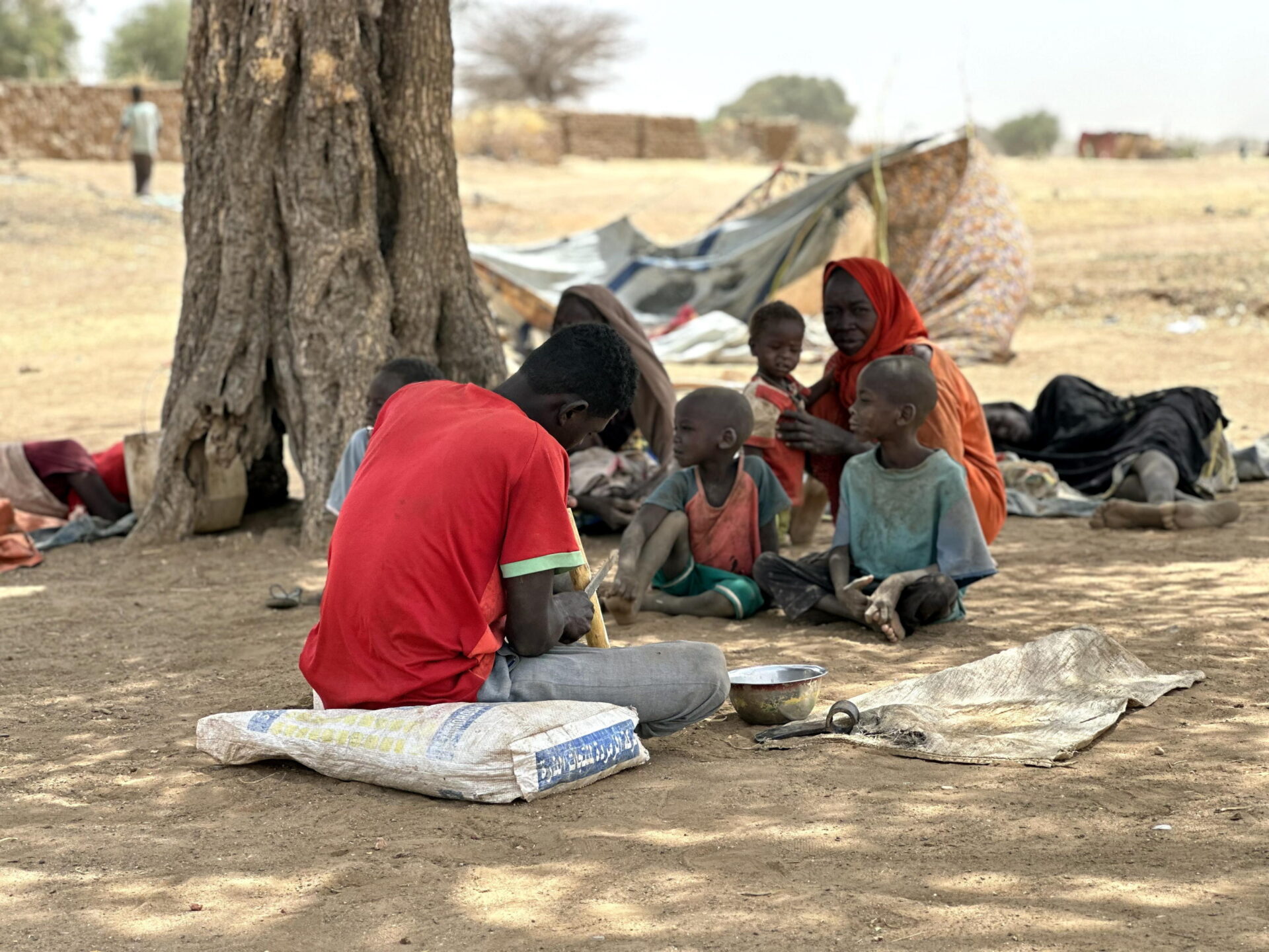La caduta di El Fasher e le nuove stragi di civili in Sudan La caduta di El Fasher e le nuove stragi di civili in Sudan