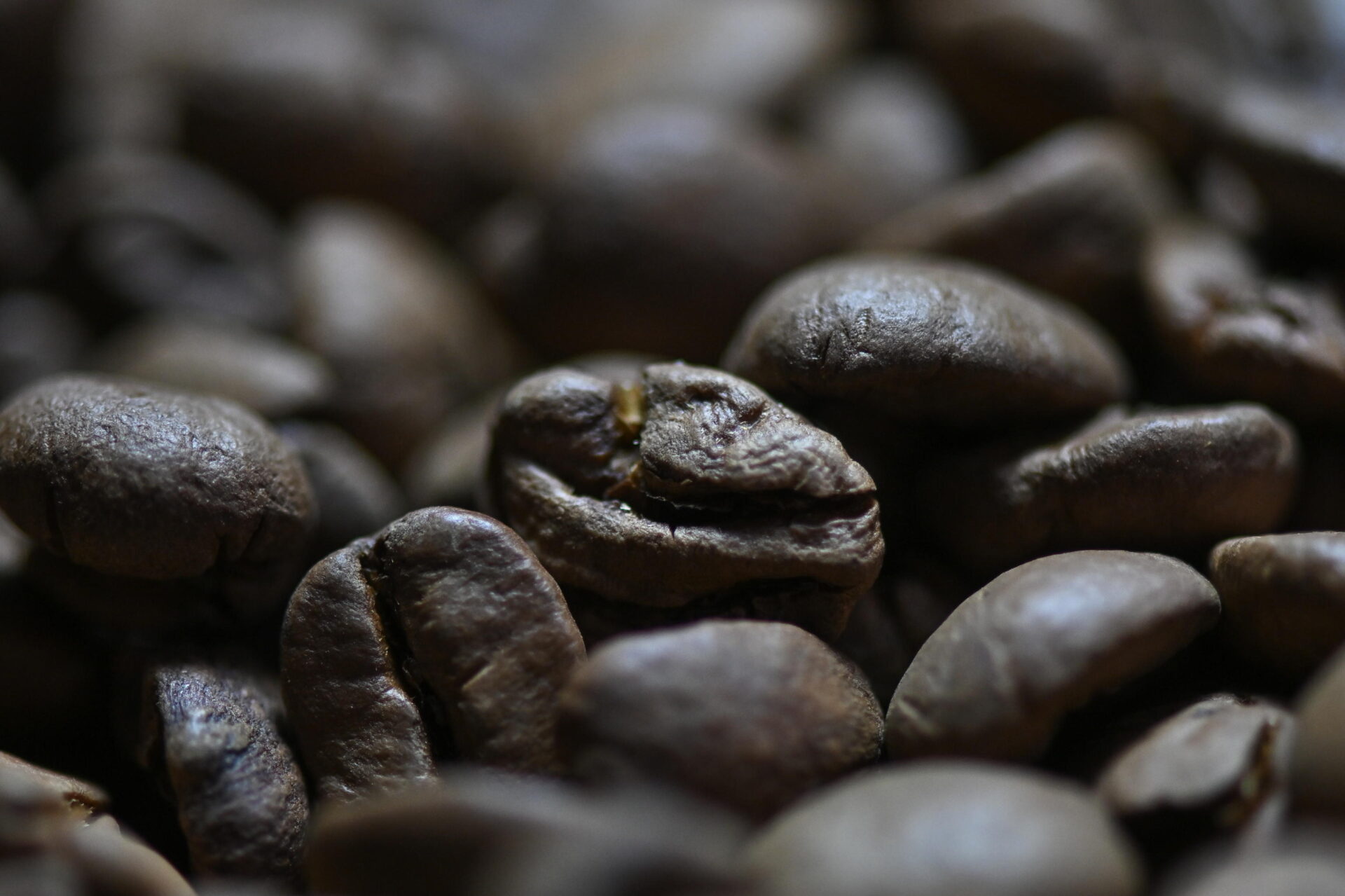 Produzione in calo e prezzo in volo: il mondo sta per rimanere senza caffè Produzione in calo e prezzo in volo: il mondo sta per rimanere senza caffè