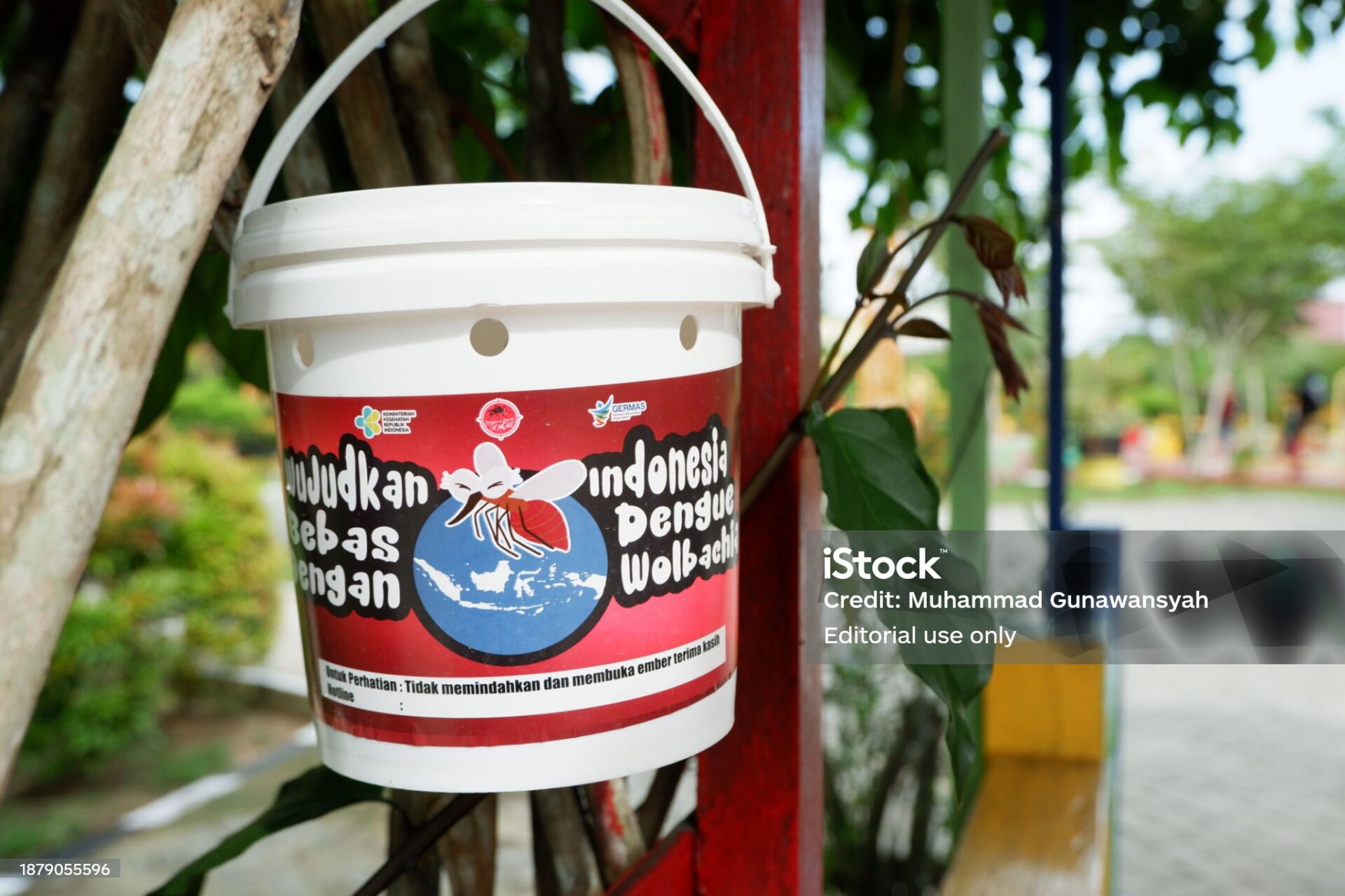 l8217alleato invisibile come il batterio wolbachia sta cambiando la geopolitica della salute globale