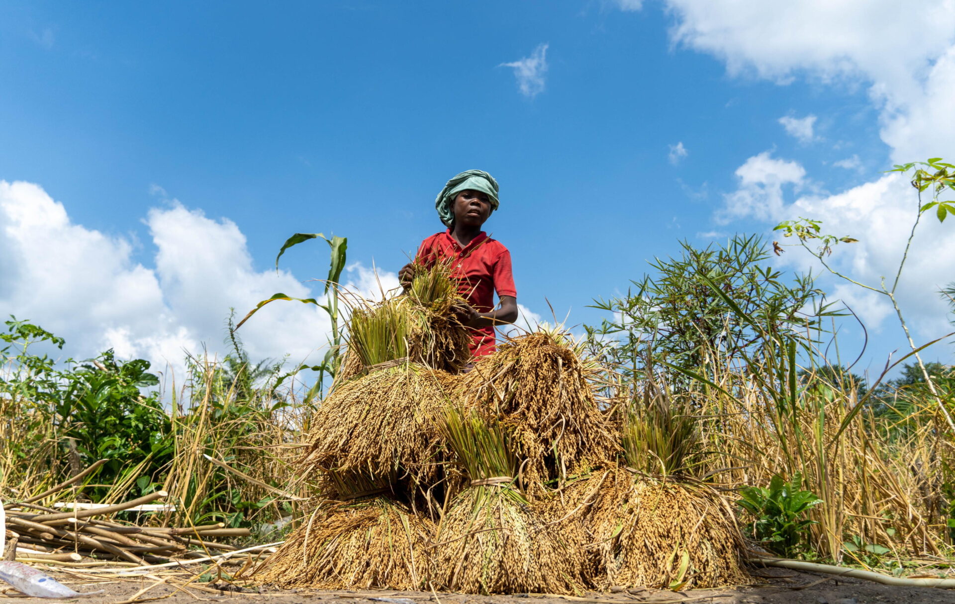 318 milioni di persone a rischio fame nel mondo: il Wfp lancia il suo programma per il 2026