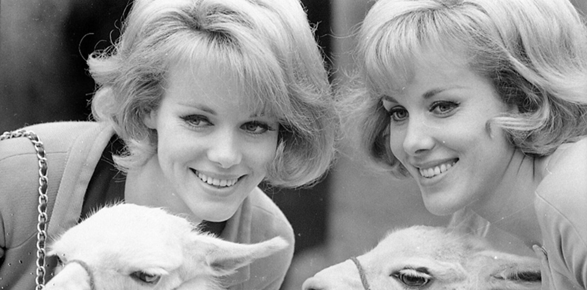 Le Kessler e la morte a richiesta, anche senza malattia: il “modello tedesco” che all’Italia non piace