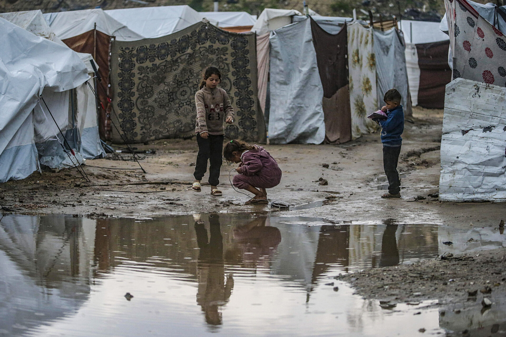 gaza come si pianifica un genocidio da It.insideover.com gaza come si pianifica un genocidio