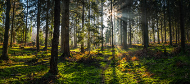 Il tesoro nascosto del suolo: la nuova corsa globale agli antibiotici naturali