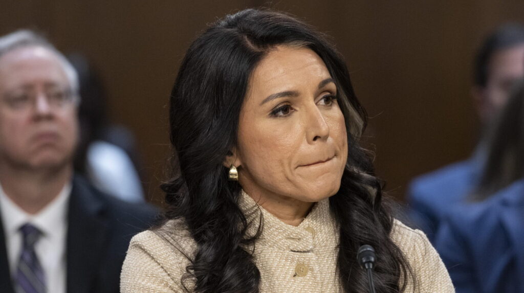 Tulsi Gabbard Usa Trump neocon