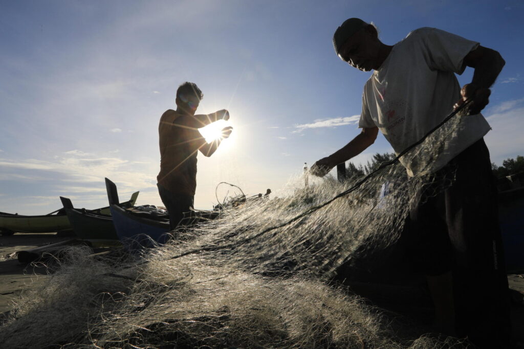 pesca